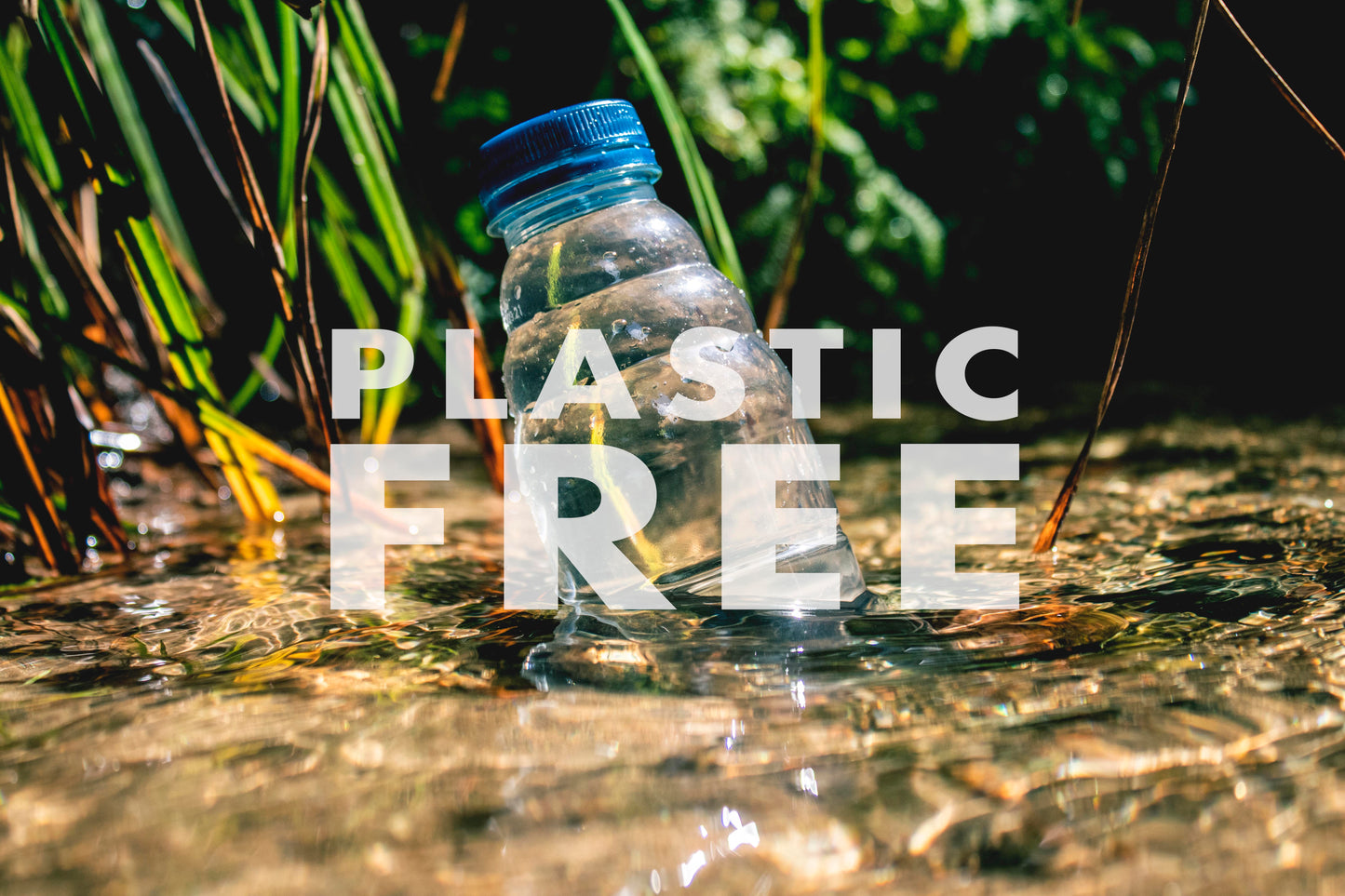 Gilboys Plastic Free