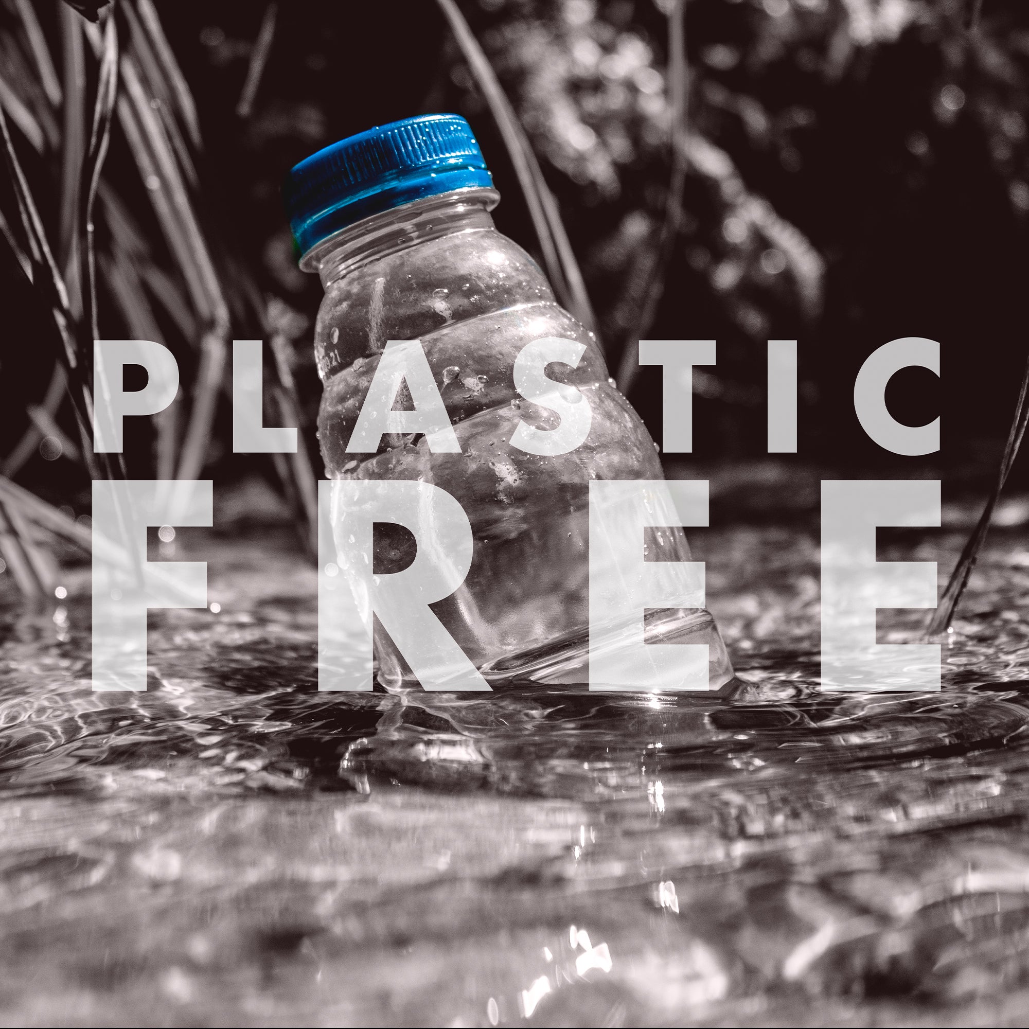 plastic free