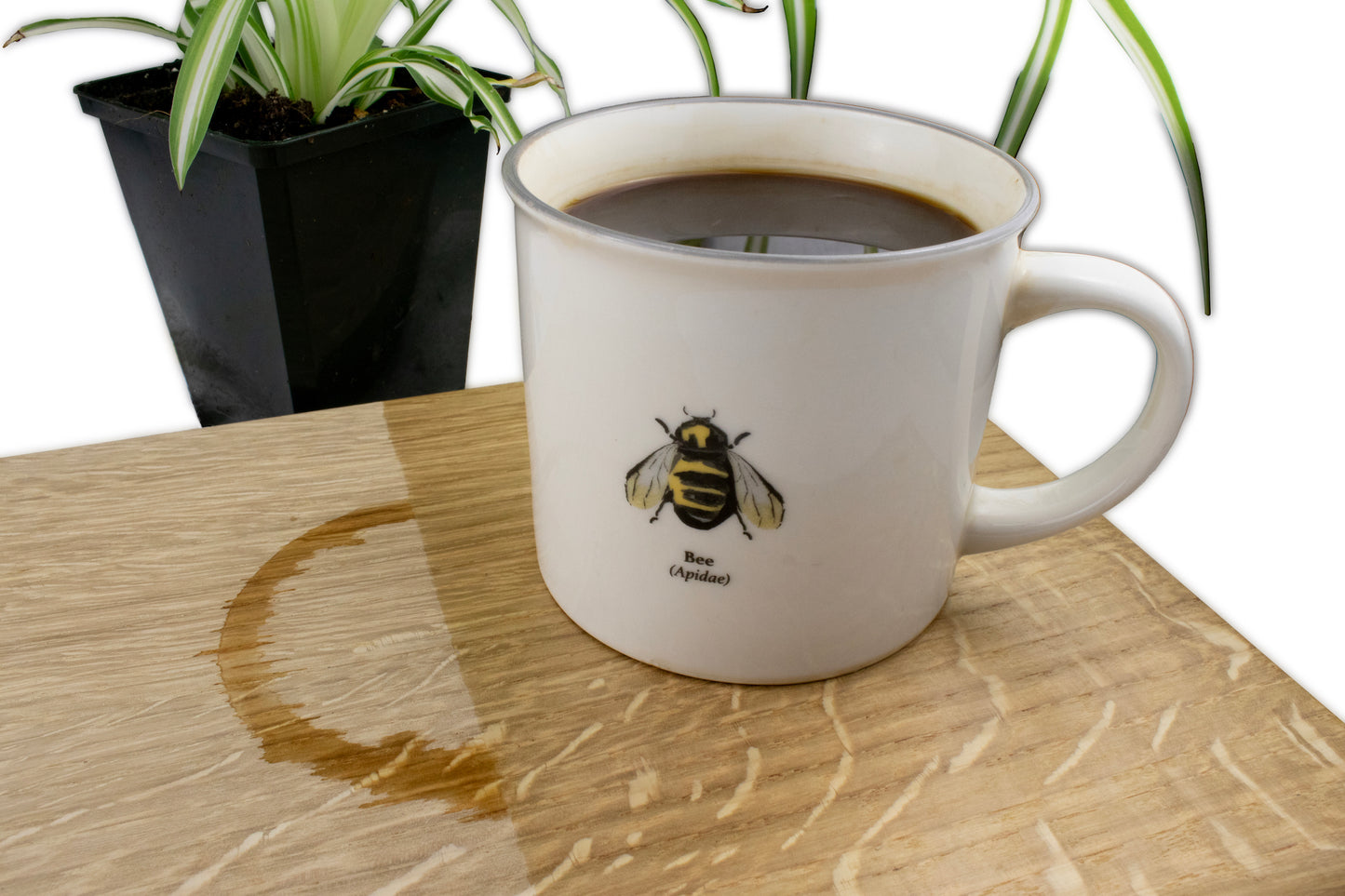Hard Wax Oil - Food Safe Interior Wood Finish