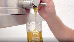 Video of harvesting Gilboys honey